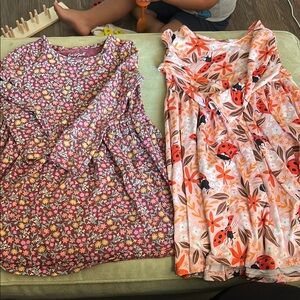 Floral and Ladybug Kids Dress Set